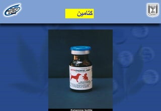 ‫كتامين‬
‫كتامين‬
 