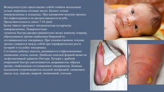 Везикулопустулез представляет собой гнойное воспаление
устьев эккринных потовых желез. Болеют только
новорожденные и младенцы. При адекватном ведении процесс
без инфильтрации и не распространяется вглубь.
Продолжительность около 7-10 дней.
Более тяжело протекает эпидемическая пузырчатка
новорожденных. Поверхностные
элементы быстро распространяютсяпо всему кожному покрову,
образующиеся эрозии окаймлены бахромой из
отслаивающегося эпидермиса. При злокачественном течении
эрозии сливаются между собой при периферическом росте
пузырей и отслойке эпидермиса.
Состояние ребенка тяжелое, развиваются стафилококковые
пневмонии, отиты, сепсис. Наиболее опасной формой является
эксфолиативный дерматит Риттера. Пузыри с дряблой
покрышкой быстро увеличиваются, вскрываются, образуя
эрозии, окаймленные отслоившимся эпидермисом. Кожные
высыпания сопровождаются сильной лихорадкой, снижением
массы тела, нередко диареей, пневмонией, отитами.
 