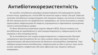 На сьогодні, антибіотики регулярно використовують для вирощування свиней,
м'ясної птиці, курейнесучок, м'ясної ВРХ та молочних корів а також, для риб. Зазвичай
частково антибіотики використовують для лікування тварин, але значна їх кількість
іде для сприяння росту та профілактики захворювань, які часто виникають в умовах
промислового тваринництва де тварини утримуються в переповнених приміщеннях,
часто в антисанітарних умовах.
По даних Всесвітньої організації охорони здоров'я (ВОЗ), більше половини усіх
антибіотиків які виробляються у світі використовуються у тваринництві не для
лікування, а для стимуляції росту.
Так як антибіотики так широко використовуються у тваринництві, бактерії
намагаються пристосуватися до них. Вони шляхом певних мутацій стають не
сприйнятливими або резистентними до багатьох антимікробних препаратів. Тому
надмірне використання антибіотиків у тваринництві це одна із причин чому часто
основні препарати неефективні або мало ефективні при лікуванні людських
захворювань.
Антибіотикорезистентність
 