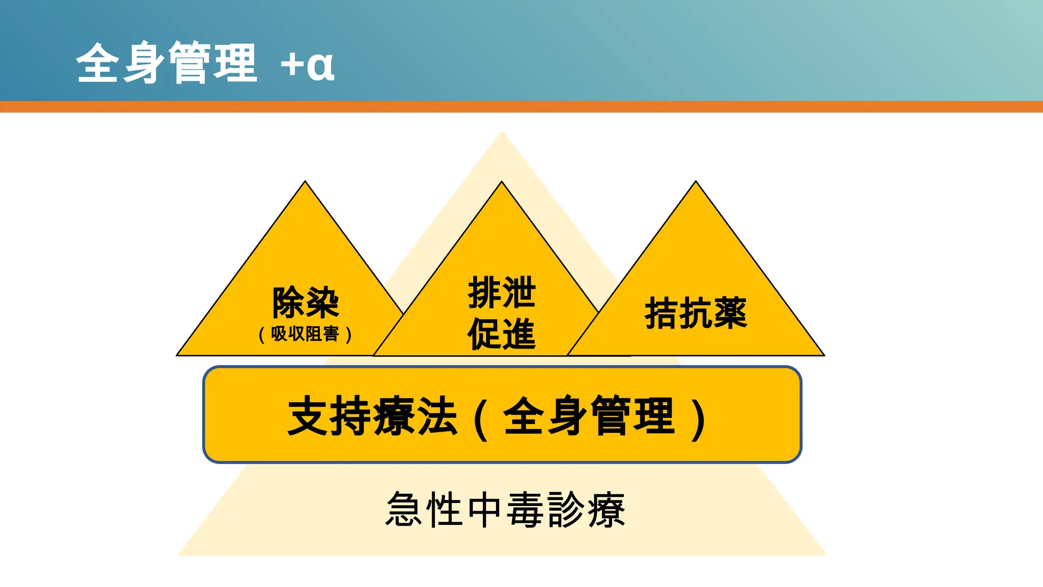 全身管理 +α
支持療法（全身管理）
除染
（吸収阻害）
排泄
促進
拮抗薬
急性中毒診療
 