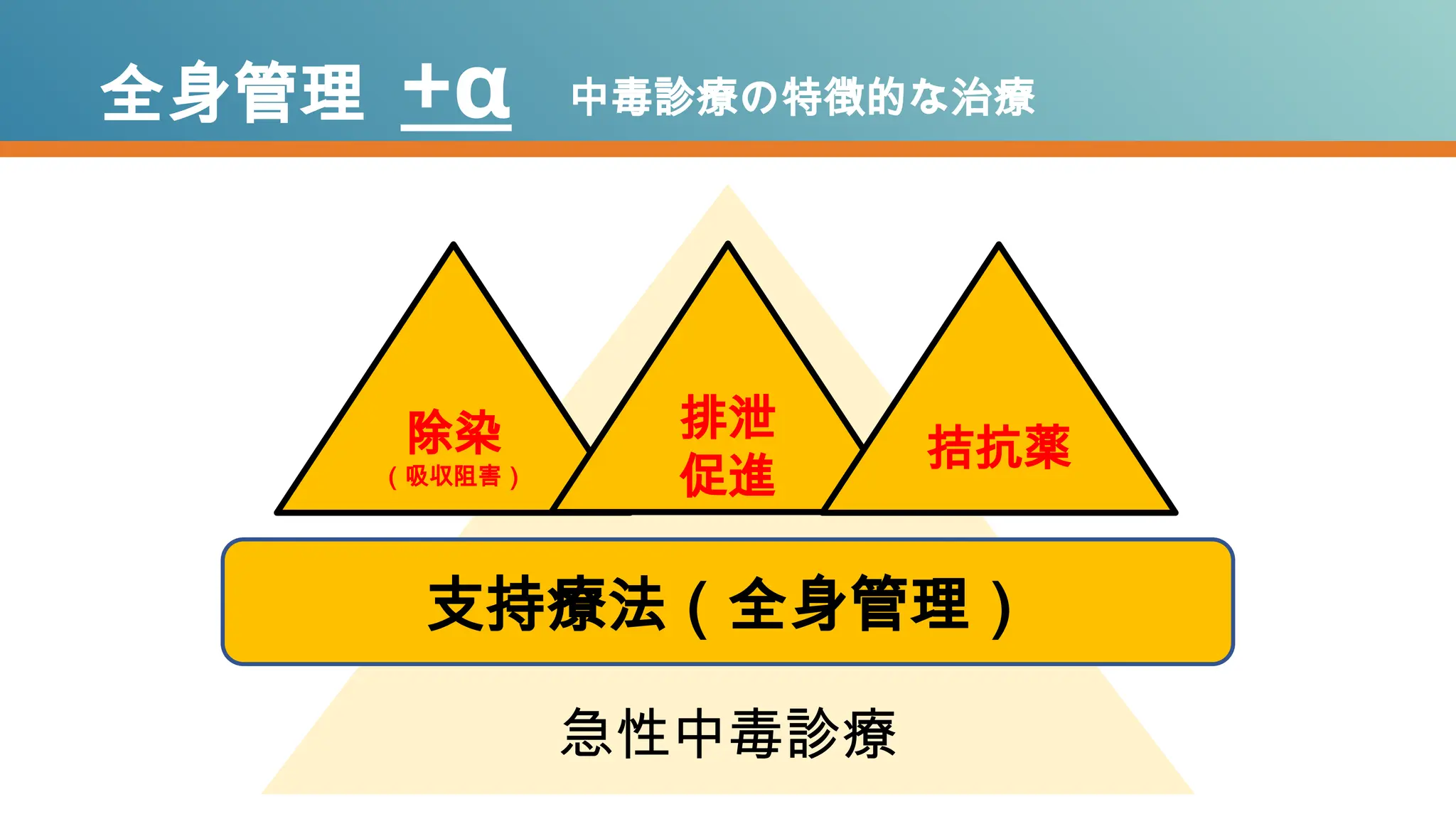 支持療法（全身管理）
除染
（吸収阻害）
排泄
促進
拮抗薬
急性中毒診療
全身管理 +α 中毒診療の特徴的な治療
 