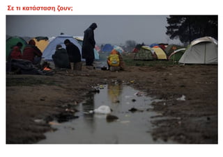 Σε τι κατάσταση ζουν;
 