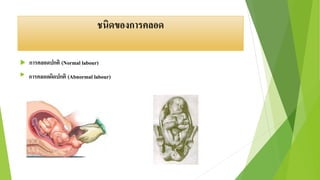ชนิดของการคลอด
 การคลอดปกติ (Normal labour)
 การคลอดผิดปกติ (Abnormal labour)
 