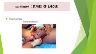  3 ระยะขณะคลอด
 