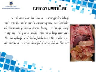 เวชกรรมแผนไทย
 