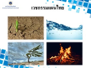 เวชกรรมแผนไทย
 