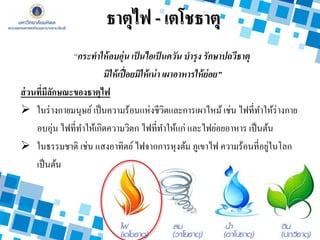 “กระทาให้อบอุ่น เป็นไอเป็นควัน บารุง รักษาปถวีธาตุ
มิให้เปื่อยมิให้เน่า เผาอาหารให้ย่อย”
ส่วนที่มีลักษณะของธาตุไฟ
 ในร่างกายมนุษย์ เป็นความร้อนแห่งชีวิตและการเผาไหม้ เช่น ไฟที่ทาให้ร่างกาย
อบอุ่น ไฟที่ทาให้เกิดความวิตก ไฟที่ทาให้แก่ และไฟย่อยอาหาร เป็นต้น
 ในธรรมชาติ เช่น แสงอาทิตย์ไฟจากการหุงต้ม ภูเขาไฟ ความร้อนที่อยู่ในโลก
เป็นต้น
ธาตุไฟ - เตโชธาตุ
 