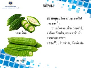 รสขม
สรรพคุณ : รักษาสมดุล ธาตุไฟ
และ ธาตุน้า
บารุงเลือดและน้าดี, รักษาไข้,
ตัวร้อน, ร้อนใน, กระหายน้า เพิ่ม
ความอยากอาหาร
แสลงกับ : โรคหัวใจ, ท้องอืดเฟ้อ
มะระขี้นก
มะระจีน
 