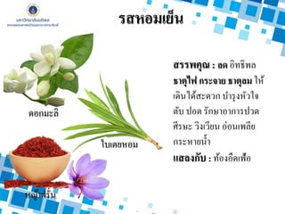 รสหอมเย็น
สรรพคุณ : ลด อิทธิพล
ธาตุไฟ กระจาย ธาตุลม ให้
เดินได้สะดวก บารุงหัวใจ
ตับ ปอด รักษาอาการปวด
ศีรษะ วิงเวียน อ่อนเพลีย
กระหายน้า
แสลงกับ : ท้องอืดเฟ้อ
หญ้าฝรั่น
ดอกมะลิ
ใบเตยหอม
 