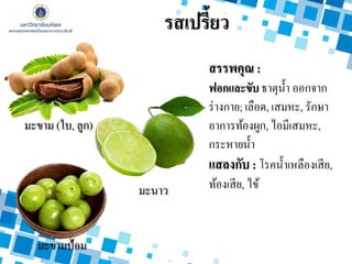 รสเปรี้ยว
สรรพคุณ :
ฟอกและขับ ธาตุน้า ออกจาก
ร่างกาย; เลือด, เสมหะ, รักษา
อาการท้องผูก, ไอมีเสมหะ,
กระหายน้า
แสลงกับ : โรคน้าเหลืองเสีย,
ท้องเสีย, ไข้
มะขาม (ใบ, ลูก)
มะนาว
มะขามป้อม
 