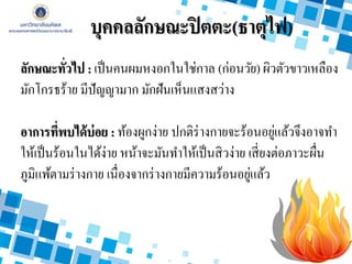 ลักษณะทั่วไป : เป็นคนผมหงอกในใช่กาล (ก่อนวัย) ผิวตัวขาวเหลือง
มักโกรธร้าย มีปัญญามาก มักฝันเห็นแสงสว่าง
อาการที่พบได้บ่อย : ท้องผูกง่าย ปกติร่างกายจะร้อนอยู่แล้วจึงอาจทา
ให้เป็นร้อนในได้ง่าย หน้าจะมันทาให้เป็นสิวง่าย เสี่ยงต่อภาวะผื่น
ภูมิแพ้ตามร่างกาย เนื่องจากร่างกายมีความร้อนอยู่แล้ว
บุคคลลักษณะปิตตะ(ธาตุไฟ)
 