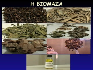 Η ΒΙΟΜΑΖΑ
Η ΒΙΟΜΑΖΑ
 