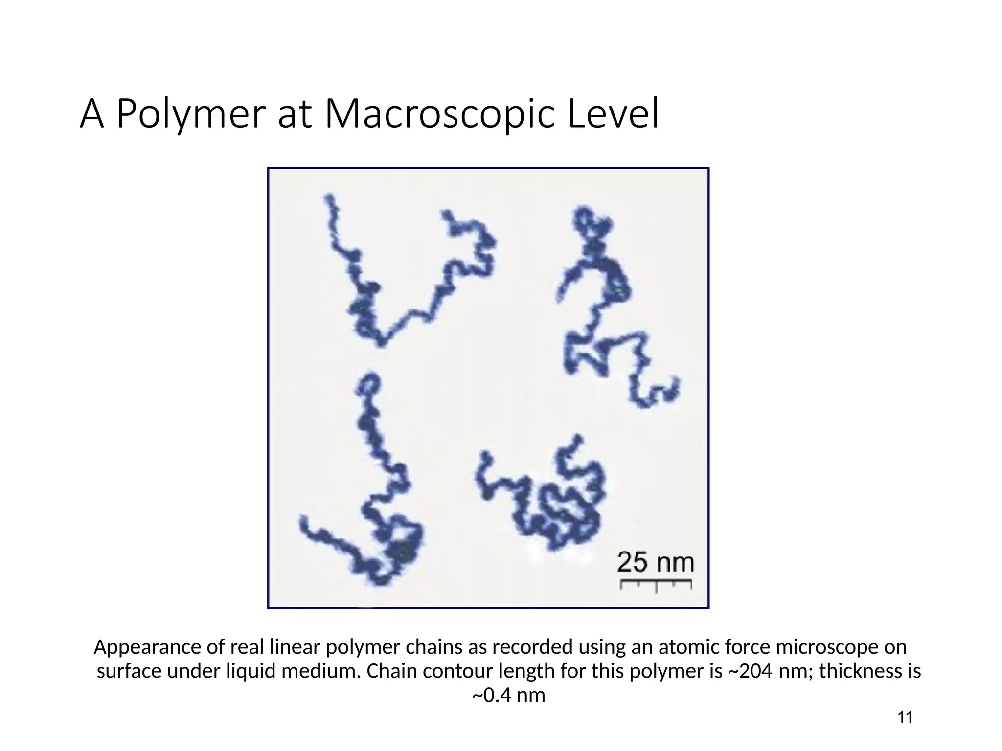 A Polymer at Macroscopic Level
Appearance of real linear polymer chains as recorded using an atomic force microscope on
surface under liquid medium. Chain contour length for this polymer is ~204 nm; thickness is
~0.4 nm
11
 