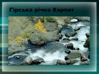 Гірська річка Карпат
 
