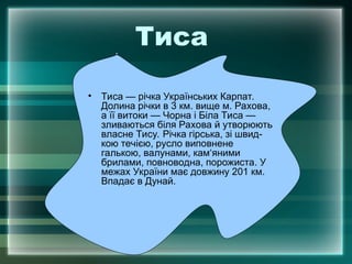 Тиса
• Тиса — річка Українських Карпат.
Долина річки в 3 км. вище м. Рахова,
а її витоки — Чорна і Біла Тиса —
зливаються біля Рахова й утворюють
власне Тису. Річка гірська, зі швид-
кою течією, русло виповнене
галькою, валунами, кам‘яними
брилами, повноводна, порожиста. У
межах України має довжину 201 км.
Впадає в Дунай.
 