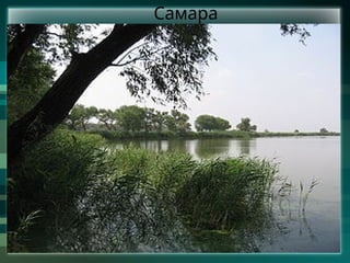 Самара
 