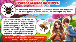 Не торкайтеся павуків руками – деякі види можуть бути отруйними.
Не лізьте руками у дупла, щілини, під кору дерев чи у кущі.
Не чіпайте комах, їхні гнізда чи
вулики. Не їжте на природі солодке
та не пийте напої з відкритої тари –
запах привертає ос та бджіл. Якщо
комаха літає поруч – не розмахуйте
руками, не тікайте різко, а спокійно
відійдіть. У разі укусу повідомте
дорослих або зверніться до лікаря.
Не чіпайте та не дражніть диких та бродячих
тварин. У них може бути сказ!
 