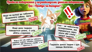 Якщо на вулиці ви побачили
бездомного собаку, його
можна гладити.
Якщо дика тварина
поводиться дивно, її слід
обійти стороною.
Якщо у лісі або парку ви побачили
поранену тварину, потрібно повідомити
дорослих або спеціальні служби, а не
торкатися її. Годувати диких тварин з рук
завжди безпечно.
Сказ – це небезпечне
захворювання, яке
передається через
укуси або слину
хворої тварини.
 
