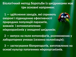 Біологічний метод боротьби із шкідниками має
три основні напрямки:
1 — здійснення заходів, які сприяють
охороні і підвищенню ефективності
природних популяцій паразитів,
хижаків і ентомопатогених
мікрооранізмів у знищенні шкідників;
2 — випуск на поля ентомофагів, розмножених у
лабораторних умовах (сезонна колонізація);
3 — застосування біопрепаратів, виготовлених на
основі культур патогенних мікроорганізмів.
 