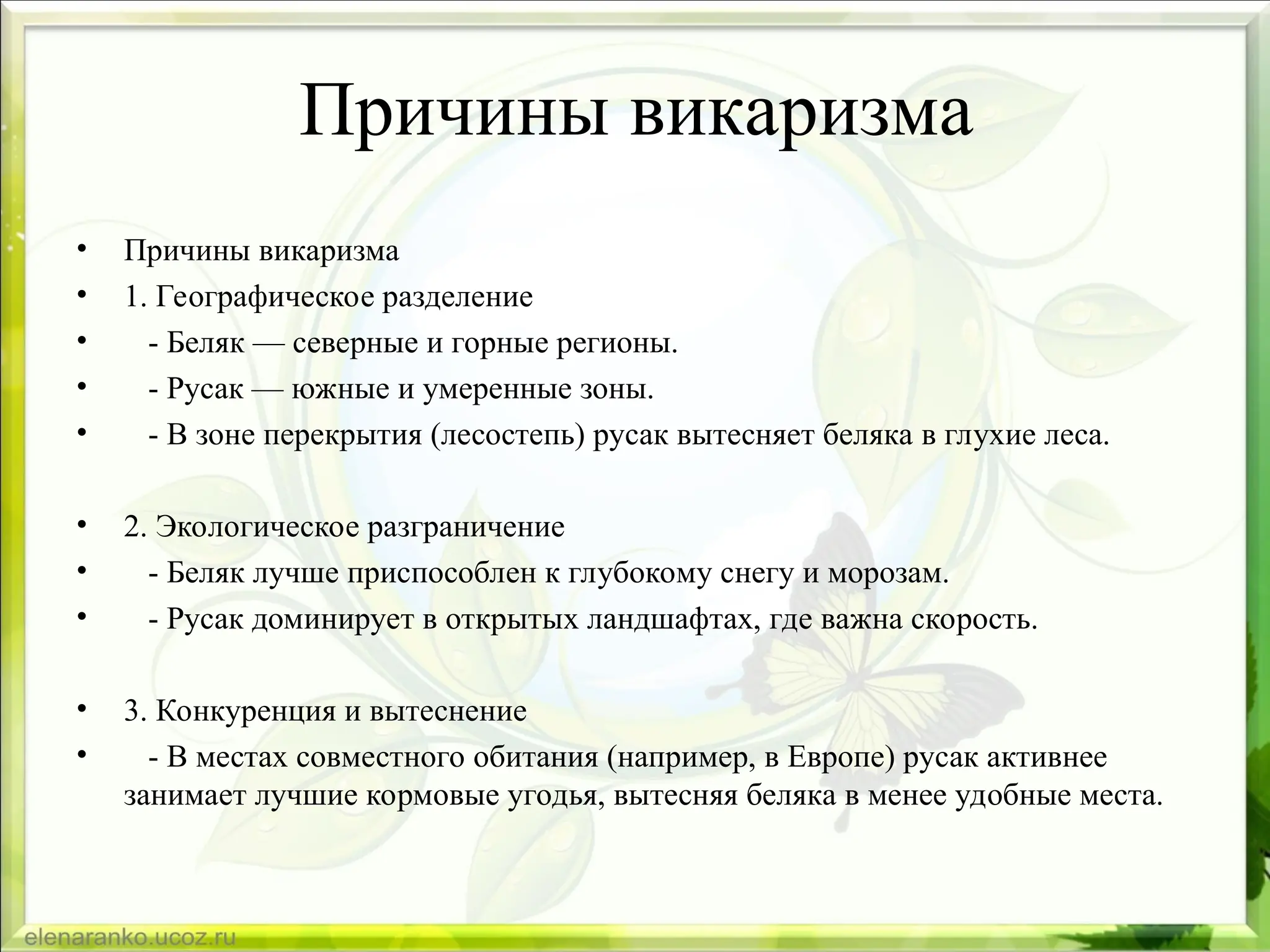 Причины викаризма
• Причины викаризма
• 1. Географическое разделение
• - Беляк — северные и горные регионы.
• - Русак — южные и умеренные зоны.
• - В зоне перекрытия (лесостепь) русак вытесняет беляка в глухие леса.
• 2. Экологическое разграничение
• - Беляк лучше приспособлен к глубокому снегу и морозам.
• - Русак доминирует в открытых ландшафтах, где важна скорость.
• 3. Конкуренция и вытеснение
• - В местах совместного обитания (например, в Европе) русак активнее
занимает лучшие кормовые угодья, вытесняя беляка в менее удобные места.
 