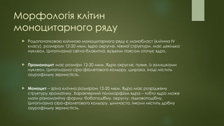 Морфологія клітин
моноцитарного ряду
 Родопочатковою клітиною моноцитарного ряду є монобласт (клітина IV
класу), розміром 12-20 мкм, ядро округле, ніжної структури, має декілька
нуклеол. Цитоплазма світло-блакитна, вузьким поясом оточує ядро.
 Промоноцит має розміри 12-20 мкм. Ядро округле, пухке, із залишками
нуклеол. Цитоплазма сіро-фіолетового кольору, широка, іноді містить
азурофільну зернистість.
 Моноцит – зріла клітина розміром 12-20 мкм. Ядро має розріджену
структуру хроматину. Характерний поліморфізм ядра – тобто ядро може
мати різноманітну форму: бобоподібну, округлу, підковоподібну.
Цитоплазма сіро-фіолетового кольору, димчаста, інколи містить дрібну
азурофільну зернистість.
 
