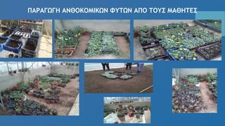 ΠΑΡΑΓΩΓΗ ΑΝΘΟΚΟΜΙΚΩΝ ΦΥΤΩΝ ΑΠΟ ΤΟΥΣ ΜΑΘΗΤΕΣ
 