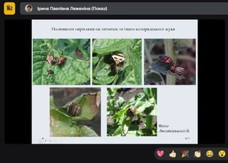 10.04.2025 р. - Pасідання секції «Карантин рослин» студентського наукового гуртка «Захист і карантин рослин» в онлайн форматі