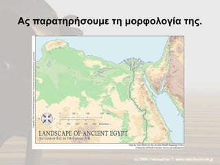 Ας παρατηρήσουμε τη μορφολογία της.
 