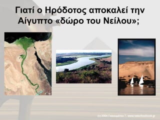 Γιατί ο Ηρόδοτος αποκαλεί την
Αίγυπτο «δώρο του Νείλου»;
 
