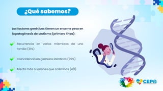 ¿Qué sabemos?
Los factores genéticos tienen un enorme peso en
la patogénesis del Autismo (primera línea):
Recurrencia en varios miembros de una
familia (31%)
Coincidencia en gemelos idénticos (95%)
Afecta más a varones que a féminas (4/1)
 