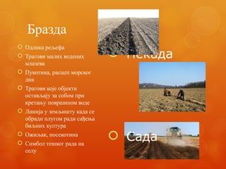 Бразда
 Одлика рељефа
 Трагови малих водених
млазева
 Пукотина, расцеп морског
дна
 Трагови које објекти
остављају за собом при
кретању површином воде
 Линија у земљишту када се
обради плугом ради сађења
биљних култура
 Ожиљак, посекотина
 Симбол тешког рада на
селу
 Некада
 Сада
 