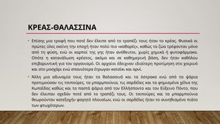 -
ΚΡΕΑΣ ΘΑΛΑΣΣΙΝΑ
• Επίσης μια τροφή που ποτέ δεν έλειπε από το τραπέζι τους ήταν το κρέας. Φυσικά οι
πρώτες ύλες εκείνη την εποχή ήταν πολύ πιο «καθαρές», καθώς τα ζώα τρέφονταν μόνο
από τη φύση, ενώ οι καρποί της γης ήταν ανόθευτοι, χωρίς χημικά ή φυτοφάρμακα.
Οπότε η κατανάλωση κρέατος, ακόμα και σε καθημερινή βάση, δεν ήταν καθόλου
επιβαρυντική για τον οργανισμό. Οι αρχαίοι έδειχναν ιδιαίτερη προτίμηση στο χοιρινό
και στο μοσχάρι ενώ σπανιότερα έτρωγαν κατσίκι και αρνί.
• Άλλη μια αδυναμία τους ήταν τα θαλασσινά και τα όστρακα ενώ από τα ψάρια
προτιμούσαν τις τσιπούρες, τα μπαρμπούνια, τις σαρδέλες και τα φημισμένα χέλια της
Κωπαΐδας καθώς και τα παστά ψάρια από τον Ελλήσποντο και τον Εύξεινο Πόντο, που
δεν έλειπαν σχεδόν ποτέ από το τραπέζι τους. Οι τσιπούρες και τα μπαρμπούνια
θεωρούνταν κατεξοχήν φαγητό πλουσίων, ενώ οι σαρδέλες ήταν το συνηθισμένο πιάτο
των φτωχότερων.
 