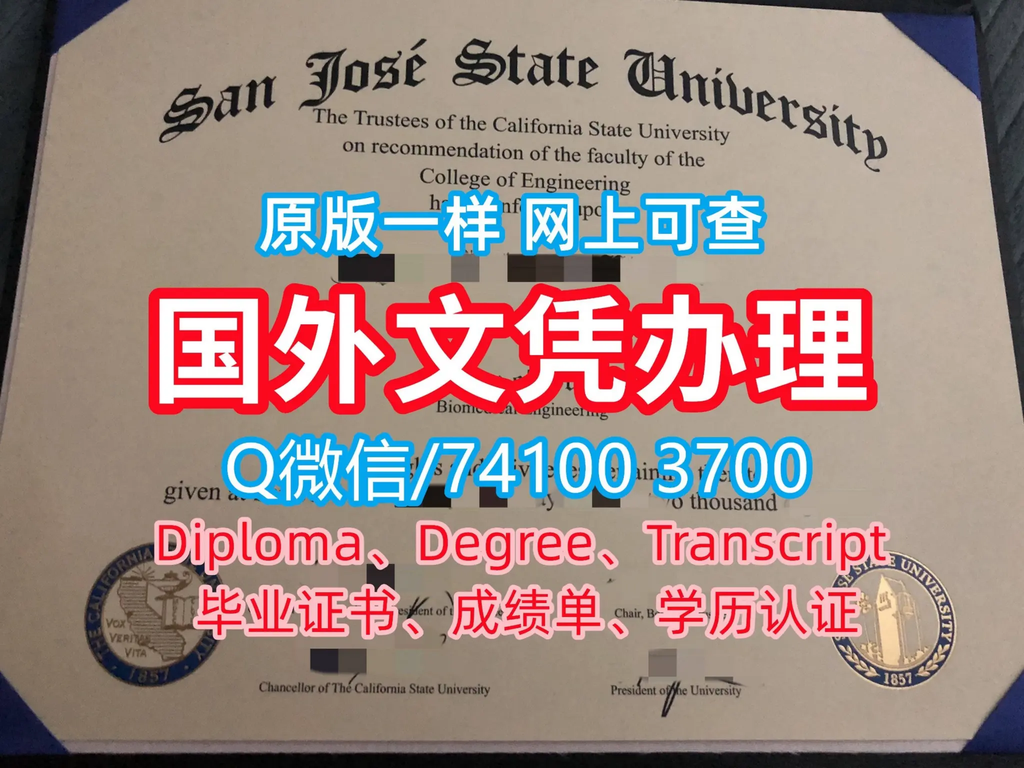 原版一比一(ACU毕业证书)澳洲天主教大学毕业证留信认证怎么办理| DOC