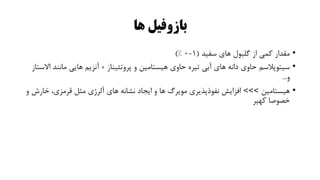 ‫ها‬ ‫بازوفیل‬
•
‫سفید‬ ‫های‬ ‫گلبول‬ ‫از‬ ‫کمی‬ ‫مقدار‬
(
1
-
0
)%
•
‫سیتوپالسم‬
‫پروتئیناز‬ ‫و‬ ‫هیستامین‬ ‫حاوی‬ ‫تیره‬ ‫آبی‬ ‫های‬ ‫دانه‬ ‫حاوی‬
+
‫مانن‬ ‫هایی‬ ‫آنزیم‬
‫االستاز‬ ‫د‬
‫و‬
...
•
‫هیستامین‬
>>>
‫خار‬ ،‫قرمزی‬ ‫مثل‬ ‫آلرژی‬ ‫های‬ ‫نشانه‬ ‫ایجاد‬ ‫و‬ ‫ها‬ ‫مویرگ‬ ‫نفوذپذیری‬ ‫افزایش‬
‫و‬ ‫ش‬
‫کهیر‬ ‫خصوصا‬
 