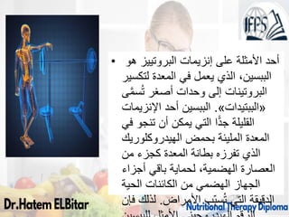 • ‫إنزيمات‬ ‫على‬ ‫األمثلة‬ ‫أحد‬
‫البروتييز‬
‫هو‬
‫لتكسير‬ ‫المعدة‬ ‫في‬ ‫يعمل‬ ‫الذي‬ ،‫الببسين‬
‫ى‬َّ‫م‬‫س‬ُ‫ت‬ ‫أصغر‬ ‫وحدات‬ ‫إلى‬ ‫البروتينات‬
«
‫الببتيدات‬
»
.
‫اإلنزيمات‬ ‫أحد‬ ‫الببسين‬
‫في‬ ‫تنجو‬ ‫أن‬ ‫يمكن‬ ‫التي‬ ‫ا‬ًّ‫د‬‫ج‬ ‫القليلة‬
‫الهيدروكلوريك‬ ‫بحمض‬ ‫المليئة‬ ‫المعدة‬
‫من‬ ‫كجزء‬ ‫المعدة‬ ‫بطانة‬ ‫تفرزه‬ ‫الذي‬
‫أجزاء‬ ‫باقي‬ ‫لحماية‬ ،‫الهضمية‬ ‫العصارة‬
‫الحية‬ ‫الكائنات‬ ‫من‬ ‫الهضمي‬ ‫الجهاز‬
‫األمراض‬ ‫ب‬ِّّ‫ب‬‫س‬ُ‫ت‬ ‫التي‬ ‫الدقيقة‬
.
‫فإن‬ ‫لذلك‬ 78
 
