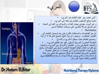 ‫المريء‬
• ‫ثاني‬
‫المريء‬ ‫هو‬ ‫الطعام‬ ‫عليه‬ ‫يمر‬ ‫عضو‬
• ‫عندما‬
‫إلى‬ ‫دفعه‬ ‫يتم‬ ‫الطعام‬ ‫الشخص‬ ‫يبتلع‬
‫المريء‬
• ‫و‬
‫المعدة‬ ‫إلى‬ ‫الفم‬ ‫من‬ ‫والسوائل‬ ،‫الغذاء‬ ‫يحمل‬ ‫عضلي‬ ‫أنبوب‬ ‫هو‬
‫تسمى‬ ‫متعاقبة‬ ‫موجات‬ ‫على‬ ‫تحتوي‬ ‫حركة‬ ‫طريق‬ ‫عن‬
• Peristalsis
• ‫أى‬
‫بها‬
‫انقباضات‬
‫وانبساطات‬
‫إلى‬ ‫الطعام‬ ‫توصيل‬ ‫يتم‬ ‫حتى‬ ‫كثيرة‬
‫المطلوب‬ ‫العضو‬
.
‫ال‬ ‫الحركة‬ ‫تصبح‬ ،‫البلع‬ ‫يبدأ‬ ‫أن‬ ‫وبمجرد‬
‫إرادية‬
• ‫والدماغ‬ ‫المريء‬ ‫سيطرة‬ ‫تحت‬ ‫الطعام‬ ‫ويصبح‬
.
• ‫العضلة‬
‫العاصرة‬
‫المريئية‬
،‫المريء‬ ‫تقاطع‬ ‫عند‬ ‫تقع‬ ،‫السفلى‬
‫والمعدة‬ ،‫المريء‬ ‫بين‬ ‫والسوائل‬ ،‫الطعام‬ ‫مرور‬ ‫في‬ ‫تتحكم‬ ،‫والمعدة‬
.
‫وتتيح‬ ‫العضالت‬ ‫تسترخي‬ ‫العاصرة‬ ‫العضلة‬ ‫تنفتح‬ ‫الغذاء‬ ‫اقتراب‬ ‫مع‬
‫تمريرالمواد‬
‫إلى‬ ً
‫وصوال‬ ‫الغذائية‬
‫المعدة‬
.
‫إ‬
‫العضلة‬ ‫تعمل‬ ‫لم‬ ‫ذا‬
‫العاصرة‬
‫المريئية‬
‫حالة‬ ‫من‬ ‫تعاني‬ ‫قد‬ ،‫صحيح‬ ‫بشكل‬ ‫بك‬ ‫الخاصة‬
‫تسمى‬
( GERD )
،
‫أواالرتداد‬
‫وارتجاع‬ ،‫شديدة‬ ‫حرقة‬ ‫يسبب‬ ‫والذي‬ ،
(
‫الشعوربالغذاء‬
‫للوراء‬ ‫يعود‬
.)
86
 