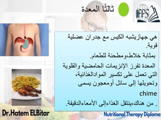 ‫المعدة‬ ‫ا‬ً‫ث‬‫ثال‬
‫هي‬
‫جهازيشبه‬
‫عضلية‬ ‫جدران‬ ‫مع‬ ‫الكيس‬
‫قوية‬
.
‫بمثابة‬
‫ومطحنة‬،‫خالط‬
‫للطعام‬
.
‫والقلوية‬ ‫الحامضية‬ ‫اإلنزيمات‬ ‫تفرز‬ ‫المعدة‬
‫تكسير‬ ‫على‬ ‫تعمل‬ ‫التي‬
‫الموادالغذائية‬
،
‫سائل‬ ‫إلى‬ ‫وتحويلها‬
‫أومعجون‬
‫يسمى‬
chime
.
‫من‬
‫ينتقل‬،‫هناك‬
‫الغذاءإلى‬
‫األمعاءالدقيقة‬
.
87
 