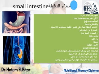 small intestine‫الدقيقة‬ ‫االمعاء‬
‫أجزاء‬ ‫ثالثة‬ ‫من‬ ‫تتكون‬
the duodenum ‫اإلثنى‬
‫عشر‬
jejunum‫الصائم‬
ileum‫واللفائفي‬
‫اإلنزيمات‬ ‫باستخدام‬ ‫الطعام‬ ‫تكسير‬ ‫على‬ ‫تعمل‬ ‫الدقيقة‬ ‫األمعاء‬
‫البنكرياس‬ ‫عن‬ ‫الصادرة‬
‫الصفراوية‬ ‫والعصارة‬
bile salts
‫الكبد‬ ‫من‬
liver
‫الدقيقة‬ ‫األمعاء‬
small intestine
‫هوالمكان‬
‫معظم‬ ‫امتصاص‬ ‫فيه‬ ‫يتم‬ ‫الذي‬
‫الموادالمغذية‬
.
‫الجهاز‬ ‫هذا‬ ‫في‬ ‫العمل‬ ‫في‬ ‫ًا‬‫ض‬‫أي‬ ‫تتدخل‬
‫ل‬َ‫ق‬‫ن‬ُ‫ت‬ ‫حيث‬
‫الموادالغذائية‬
‫خالل‬ ‫من‬
‫والكبد‬ ‫البنكرياس‬ ‫من‬ ‫الهضمية‬ ‫اإلفرازات‬ ‫مع‬ ‫وتخلطها‬
88
 