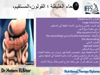 ‫؛‬ ‫الغليظة‬ ‫االمعاء‬
‫المستقيم‬،‫القولون‬
،
‫القولون‬
(
‫األمعاءالغليظة‬
)
Large intestine
‫هو‬
:
‫أنبوب‬
‫المستقيم‬ ‫إلى‬ ‫الدقيقة‬ ‫األمعاء‬ ‫بين‬ ‫يربط‬ ‫عضلي‬
.
‫من‬ ‫مكونة‬ ‫وهي‬
(
‫األعور‬
(the cecum ،
‫و‬
(
‫الصاعد‬
the ascending) ‫و‬
(
‫العرضى‬
( the transverse- ‫و‬
(
‫الهابط‬
the descending
‫السيني‬ ‫القولون‬
sigmoid colon
‫المستقيم‬ ‫يربط‬ ‫الذي‬
.
‫األمعاءالغليظة‬
‫النفايات‬ ‫معالجة‬ ‫عن‬ ‫مسؤول‬ ‫فهو‬ ‫للغاية‬ ‫متخصص‬ ‫جهاز‬
‫الماء‬ ‫وتمتص‬ ‫الجسم‬ ‫خارج‬ ‫وطردها‬
‫والموادالمغذية‬
‫وتغيير‬ ‫المتبقية‬ ‫أي‬
‫البراز‬ ‫في‬ ‫السائل‬ ‫من‬ ‫النفايات‬
.
‫األمعاء‬ ‫حركة‬ ‫خالل‬ ‫الجسم‬ ‫خارج‬ ‫يدفعه‬ ‫حتى‬ ‫البراز‬ ‫المستقيم‬ ‫يخزن‬
89
 