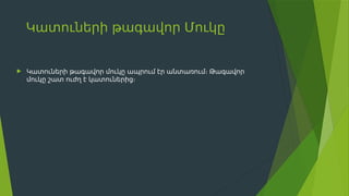 Կատուների թագավոր Մուկը
 Կատուների թագավոր մուկը ապրում էր անտառում։ Թագավոր
մուկը շատ ուժղ է կատուներից։
 