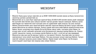 МЕЗОЛИТ
• Мезолит буюу дунд чулуун зэвсгийн үе нь МЭӨ 12000-8000 жилийн өмнөх үе буюу палеолитоос
неолитод шилжих шилжилтийн үе.
• Мезолитийн үе нь орон бүрт харилцан адилгүй буюу 20,000-5,000 жилийн өмнөх үеийг хамардаг
ба сүүлчийн мөстлөгийн үеэс хойшхи жилийн тэртээх далайн төвшин нэмэгдэж, байгаль орчин
өөрчлөгдөн хүн төрөлхтөн хоол хүнсний шинэ эх сурвалжийг хайж эхэлсэн тэр үеэс эхэлдэг.
• Өмнөх Палеолитикийн үеэс гаралтай багаж зэвсгийг хэрэглэж байсан ба Шинэ чулуун зэвсгийн
өмнөх Месолитик үе хэмээн нэрлэдэг. Энэхүү нэрийг малтлага хийж байсан археологичид өгсөн
байна. Бичил чулуугаар илүү нарийн бүтэцтэй багаж зэвсэг хийж, түүгээрээ загас барих, ан
агнуур хийх гэх мэт нийгмийн хөгжлийн илүү боловсронгуй төвшинд хүрээд байсан аж. Хүмүүс
нохойг гэршүүлэн тэжээж, ан агнахад сургаж байсан нь яалт ч үгүй энэ цаг үед хамаардаг.
• Мезолитын үед нум сум ба амьтдыг сургах нь том амжилт болжээ. Анд явах мөн гэр орноо
хамгаалахын тулд нохойг ашигладаг байжээ. Энэ үед ихэнхдээ чулуун зэвсгүүд байжээ. Чулуун
зэвсгийг хийхдээ чулуугаа цохиж хийдэг байсан. Зарим газарт загас барих тор ба модон
хэрэгслүүдийг хэрэглэдэг мөн модоор завь хийдэг байжээ.
 