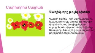 Մարիտրոս Սայրան
,
Ծաղիկ որը թռչել գիտեր
,
Կար մի ծաղիկ որը վարդագույն ու
կապույտ էր։ Այն սիրուն էր։ Գիշերը
փերին տեսավ ծաղիկը և շատ
սիրեց։ Նրան թիթեռի թևեր նվիրեց։
,
Առավոտյան ծաղիկը զարմացավ որ
թռչել գիտի։ Եվ ուրախացավ։
 