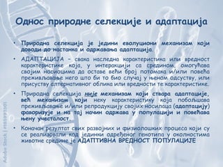 Однос природне селекције и адаптација
• Природна селекција је једини еволуциони механизам који
доводи до настанка и одржавања адаптација.
• АДАПТАЦИЈА – свака наследна карактеристика или вредност
карактеристике која, у интеракцији са средином, омогућава
својим носиоцима да оставе већи број потомака и/или повећа
преживљавање него што би то био случај у њеном одсуству, или
присуству алтернативног облика или вредности те карактеристике.
• Природна селекција није механизам који ствара адаптације,
већ механизам који неку карактеристику која побољшава
преживљавање и/или репродукцију својих носилаца (адаптацију)
фаворизује и на тај начин одржава у популацији и повећава
њену учесталост.
• Коначан резултат свих развојних и физиолошких процеса који су
се реализовали код јединки одређеног генотипа у околностима
животне средине је АДАПТИВНА ВРЕДНОСТ ПОПУЛАЦИЈЕ
 
