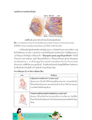 134
คูมือแนวทางการดูแลสุขภาพมารดาและทารกดวยการแพทยแผนไทย
ในระยะกอนตั้งครรภ ระยะตั้งครรภ ระยะคลอด ระยะหลังคลอด
นมแมในทางการแพทยแผนปจจุบัน
ภาพที่ 5.29 แสดงภาพโครงสรางตอมน้ำนมในหญิงหลังคลอด
ที่มา : The Network of Care for Mental/Behavioral Health. Anatomy of the female breast.
เขาถึงไดจาก https://sandiego.networkofcare.org/ สืบคน 12 ธันวาคม 2566
การใหนมแมในหญิงหลังคลอดมีความสำคัญกับบุตรมาก จำเปนตองรับประทานอาหารใหครบ 5 หมู
ดื่มน้ำใหเพียงพอ อยางนอย 3 ลิตรตอวัน ควรทำจิตใจใหแจมใส ไมเครียดเกินไป ทำใหรูสึกผอนคลาย
เวลาใหนมบุตร สิ่งสำคัญในการใหนมแม คือ “ ใหบุตรดูดเร็ว ดูดบอย ดูดถูกวิธี ดูดเกลี้ยงเตา” จึงทำให
น้ำนมมาเร็ว และมากเพียงพอ ดูดเร็ว ใหนมแมทันทีในชวง 1 ชั่วโมงแรกหลังคลอด ดูดบอย ใหบุตรดูดนม
อยางสม่ำเสมอ ทุก ๆ 2-3 ชั่วโมง ดูดถูกวิธี คางแนบเตา บุตรจะตองปากอากวาง ทำปากบานออก
คลายปากปลา อมไดลึกถึงลานนม ดูดเกลี้ยงเตา น้ำนมมีสวนหนาและหลัง ตองดูดใหไดทั้งหมด โดยสังเกตวา
ถาเกลี้ยงเตาแลว เตาจะนิ่มทั้ง 2 ขาง ไมเจ็บเตา บีบออกเปนหยด ไมพุง
ทาการใหนมบุตร มี 6 ทาดังตารางที่แสดง ไดแก
ภาพ คำอธิบาย
ทาอุมนอนขวางบนตักมารดา (Cradle Hold)
อุมบุตรวางขวางไวบนตัก ใหทายทอยอยูที่แขนของมารดา ปลายแขนชอนไป
ที่สวนหลังและกนของบุตร ตะแคงตัวบุตรเขาหาเตานม ใหหนาอกบุตรและ
มารดาชิดกัน มืออีกขางพยุงเตานม
ทานอนขวางบนตักแบบประยุกต (Modiﬁed/Cross Cradle Hold)
อุมบุตรวางไวบนตักคลายทาแรกแตเปลี่ยนการวางมือมารดา โดยใชมือ
ดานตรงขามกับเตานมชอนระหวางทายทอยและคอของบุตรแทนมืออีกขางพยุง
เตานม
 