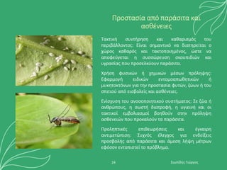 Προστασία από παράσιτα και
ασθένειες
Τακτική συντήρηση και καθαρισμός του
περιβάλλοντος: Είναι σημαντικό να διατηρείται ο
χώρος καθαρός και τακτοποιημένος, ώστε να
αποφεύγεται η συσσώρευση σκουπιδιών και
υγρασίας που προσελκύουν παράσιτα.
Χρήση φυσικών ή χημικών μέσων πρόληψης:
Εφαρμογή ειδικών εντομοαπωθητικών ή
μυκητοκτόνων για την προστασία φυτών, ζώων ή του
σπιτιού από εισβολείς και ασθένειες.
Ενίσχυση του ανοσοποιητικού συστήματος: Σε ζώα ή
ανθρώπους, η σωστή διατροφή, η υγιεινή και οι
τακτικοί εμβολιασμοί βοηθούν στην πρόληψη
ασθενειών που προκαλούν τα παράσιτα.
Προληπτικές επιθεωρήσεις και έγκαιρη
αντιμετώπιση: Συχνός έλεγχος για ενδείξεις
προσβολής από παράσιτα και άμεση λήψη μέτρων
εφόσον εντοπιστεί το πρόβλημα.
Σιωπίδης Γιώργος
24
 