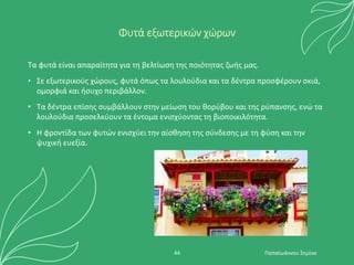 Φυτά εξωτερικών χώρων
Τα φυτά είναι απαραίτητα για τη βελτίωση της ποιότητας ζωής μας.
• Σε εξωτερικούς χώρους, φυτά όπως τα λουλούδια και τα δέντρα προσφέρουν σκιά,
ομορφιά και ήσυχο περιβάλλον.
• Τα δέντρα επίσης συμβάλλουν στην μείωση του θορύβου και της ρύπανσης, ενώ τα
λουλούδια προσελκύουν τα έντομα ενισχύοντας τη βιοποικιλότητα.
• Η φροντίδα των φυτών ενισχύει την αίσθηση της σύνδεσης με τη φύση και την
ψυχική ευεξία.
Παπαϊωάννου Σεμίνα
44
 