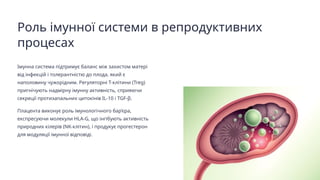 Роль імунної системи в репродуктивних
процесах
Імунна система підтримує баланс між захистом матері
від інфекцій і толерантністю до плода, який є
наполовину чужорідним. Регуляторні Т-клітини (Treg)
пригнічують надмірну імунну активність, сприяючи
секреції протизапальних цитокінів IL-10 і TGF-β.
Плацента виконує роль імунологічного бар’єра,
експресуючи молекули HLA-G, що інгібують активність
природних кілерів (NK-клітин), і продукує прогестерон
для модуляції імунної відповіді.
 