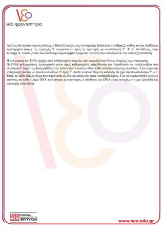 Από τις δύο προτεινόμενες θέσεις, η Θέση Έναρξης της Αντιγραφής βρίσκεται στη θέση 2, καθώς το ένα διαθέσιμο
πρωταρχικό τμήμα της περιοχής Υ επιμηκύνεται προς τα αριστερά, με κατεύθυνση 5’ → 3’. Αντιθέτως, στην
περιοχή Χ, εντοπίζονται δύο διαθέσιμα πρωταρχικά τμήματα, γεγονός που υποδηλώνει την ασυνεχή σύνθεση.
Η αντιγραφή του DNA αρχίζει από καθορισμένα σημεία, που ονομάζονται θέσεις έναρξης της αντιγραφής.
Οι DNA πολυμεράσες λειτουργούν μόνο προς καθορισμένη κατεύθυνση και τοποθετούν τα νουκλεοτίδια στο
ελεύθερο 3' άκρο της δεοξυριβόζης του τελευταίου νουκλεοτιδίου κάθε αναπτυσσόμενης αλυσίδας. Έτσι, λέμε ότι
αντιγραφή γίνεται με προσανατολισμό 5' προς 3'. Κάθε νεοσυντιθέμενη αλυσίδα θα έχει προσανατολισμό 5'→3'.
Έτσι, σε κάθε διπλή έλικα που παράγεται οι δύο αλυσίδες θα είναι αντιπαράλληλες. Για να ακολουθηθεί αυτός ο
κανόνας σε κάθε τμήμα DNA που γίνεται η αντιγραφή, η σύνθεση του DNA είναι συνεχής στη μια αλυσίδα και
ασυνεχής στην άλλη.
 