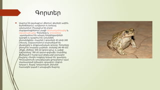 Գորտեր
 Ապրում , , ,
են ցամաքում լճերում գետերի ափին
,
ճահիճներում ստվերոտ ու խոնավ
անտառում։ Բնակվում են բոլոր
,
մայրցամաքներում բացի Անտարկտիդայից և
Ավստրալիայից։ Գորտերը և դոդոշները
պատկանում են անպոչ երկկենցաղների
կարգին և կազմում են առանձին
42 245
ընտանիքներ։ Հայտնի է գորտերի սեռի
,
տեսակ Հայաստանում տարածված են
լճագորտը և փոքրասիական գորտը։ Գորտերը
. (40–60 )
լինում են տարբեր չափերի մանրից մմ
200 ( - ),
մինչև մեծերը՝ մմ գորտ ցուլ և ավելի
300 ( - )
խոշորները՝ մմ գորտ գոլիաֆ ։ Մարմինը
ծածկված է հարթ կամ թեթևակի բշտավոր
,
մաշկով։ Հետին ոտքերը երկար են ցատկող։
Գունավորումն առավելապես քողարկող է կամ
( , )
մասնատված բծավոր զոլավոր ։ Լեզուն
, ,
երկար է ծայրը՝ երկատված բերանի
հատակին կպած է առաջային ծայրով։
 