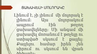 ՑԱԽԱՎԵԼԻ ՄՈԼՈՐԱԿԸ
,
Լինում է չի լինում մի մոլորակ է
լինում։ Այս մոլորակում
ապրում էին թռչող
ցախավելները։ Մի անգամ մի
ցախավել մոռանում է թռչելը ու
ստիպված սկսում է քայլել։
Քայլելու համար իրեն չեն
սիրում ու սկսում են վրան
 